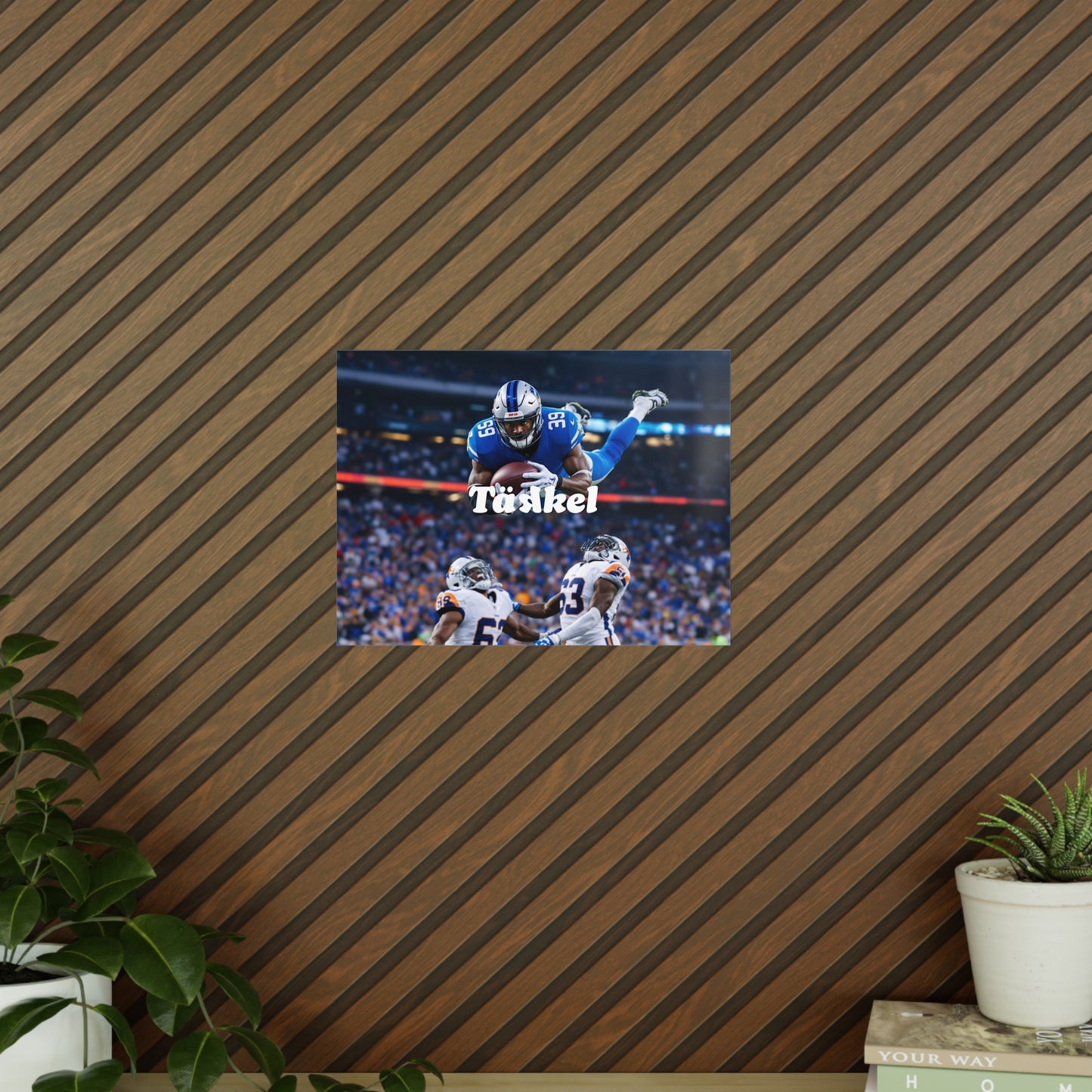 TÄKKEL Poster – High-Fly Catch Moment